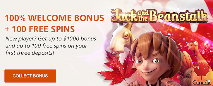 instacasino_can_offer