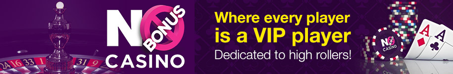 nobonuscasino_915x150